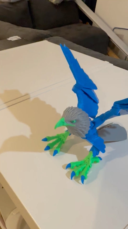 Seattle Style American Football Bird