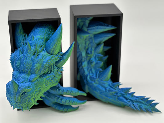 Dragon and Tail Book Nook