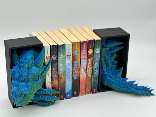 Dragon and Tail Book Nook