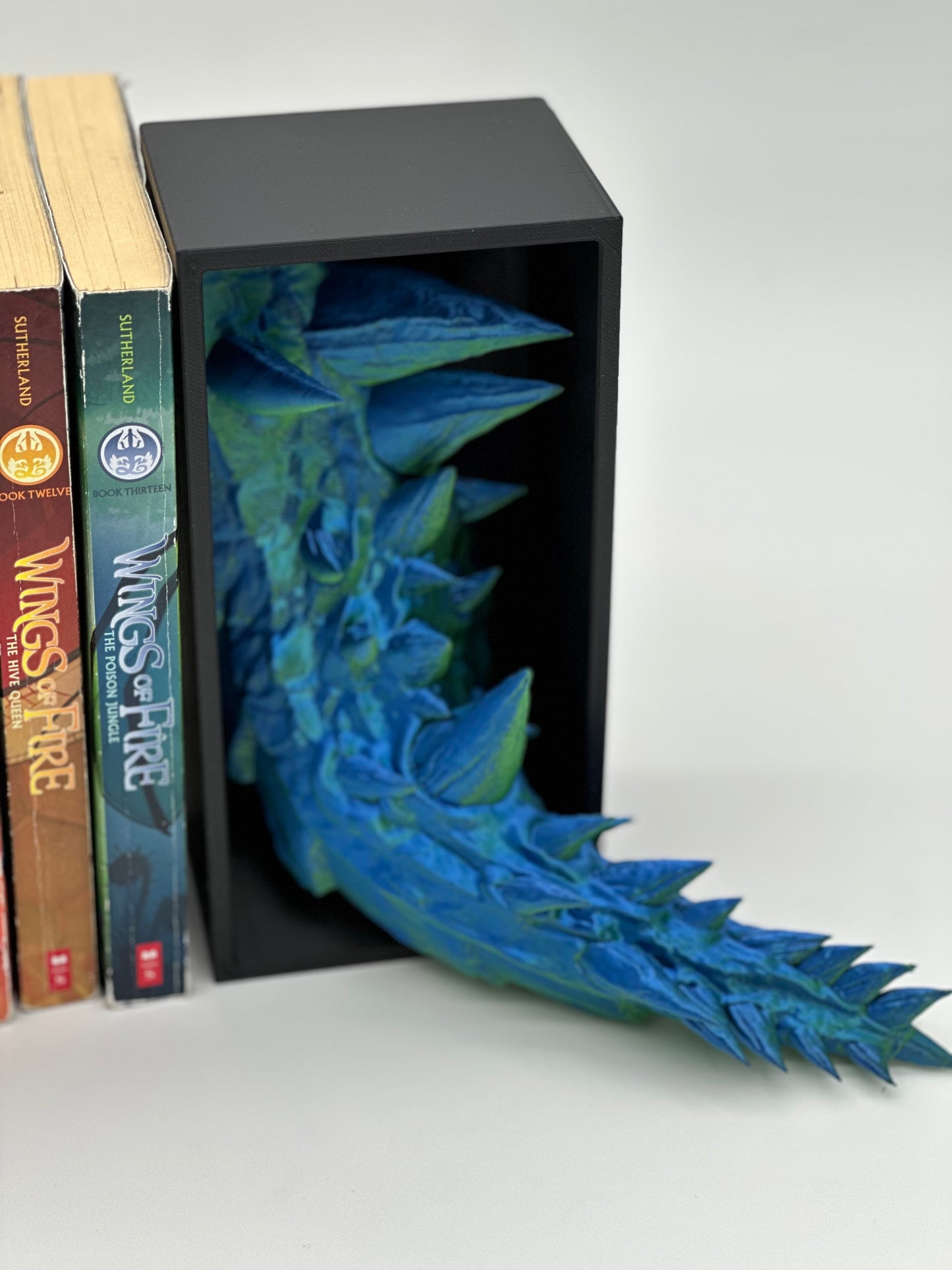 Dragon and Tail Book Nook