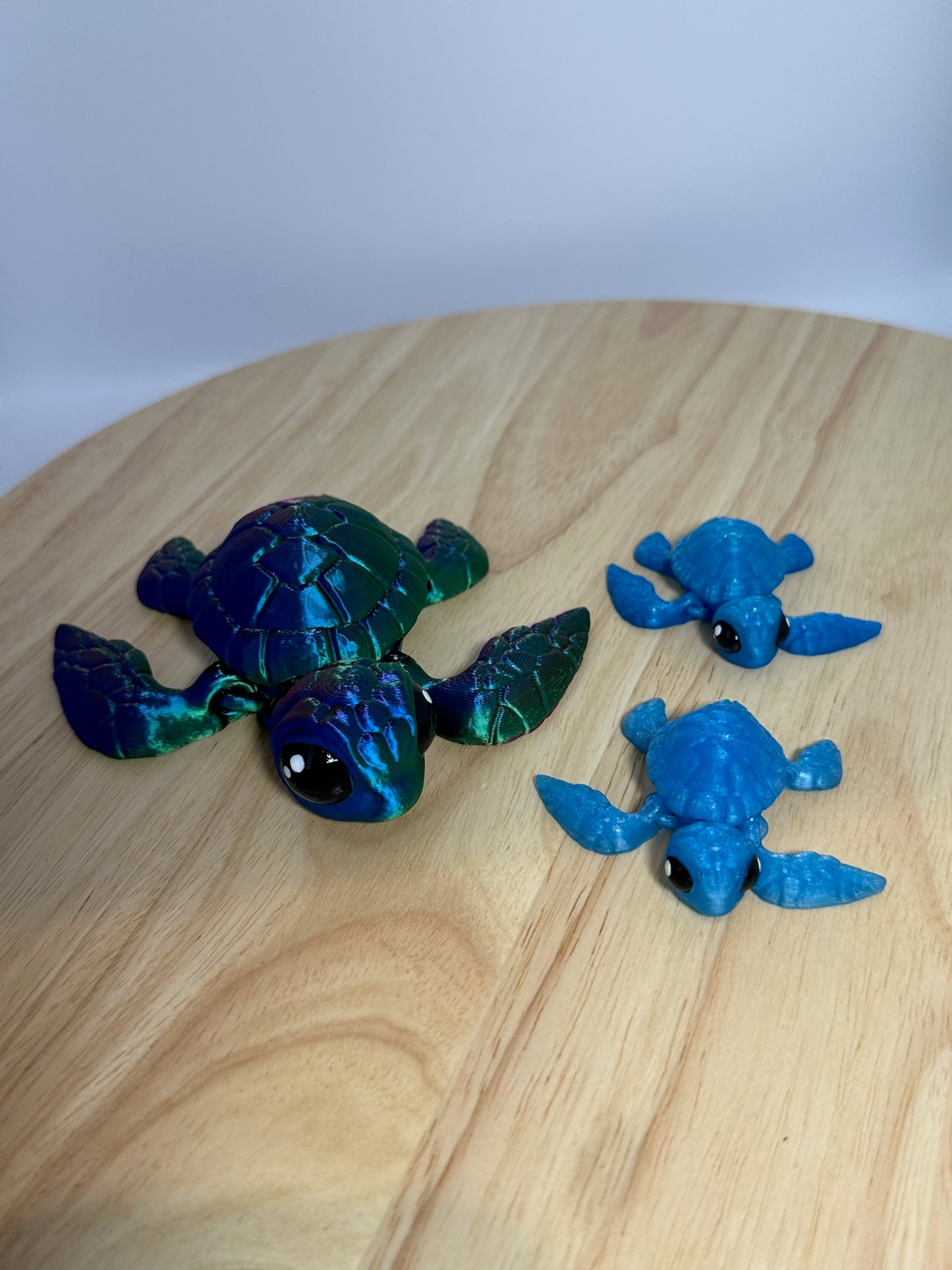 Sea Turtles