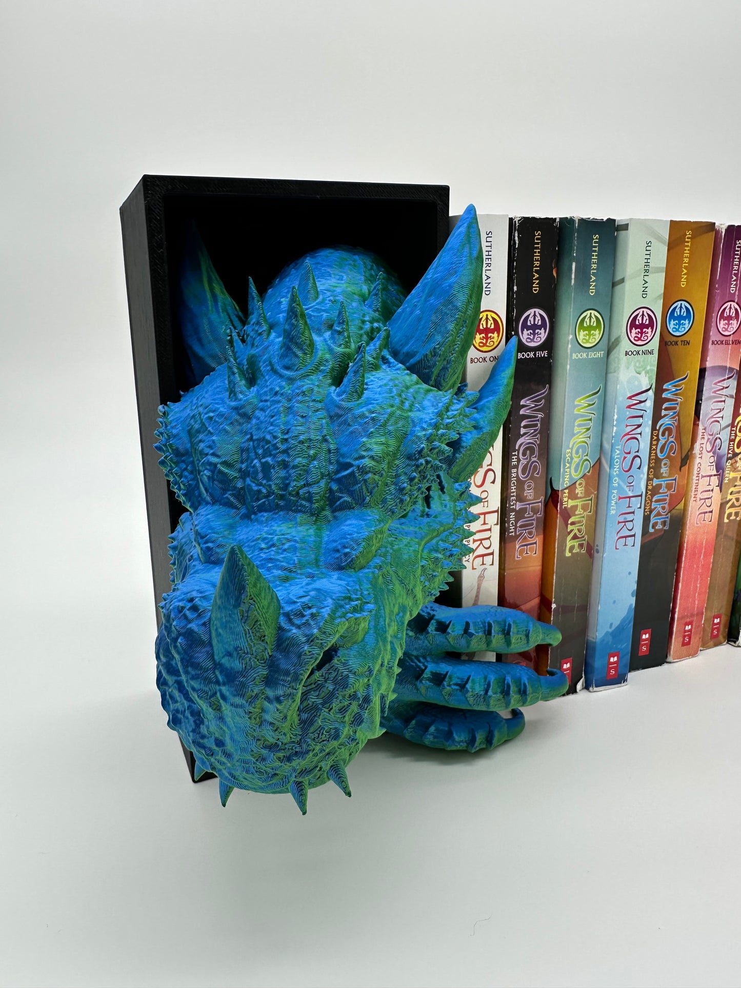 Dragon and Tail Book Nook