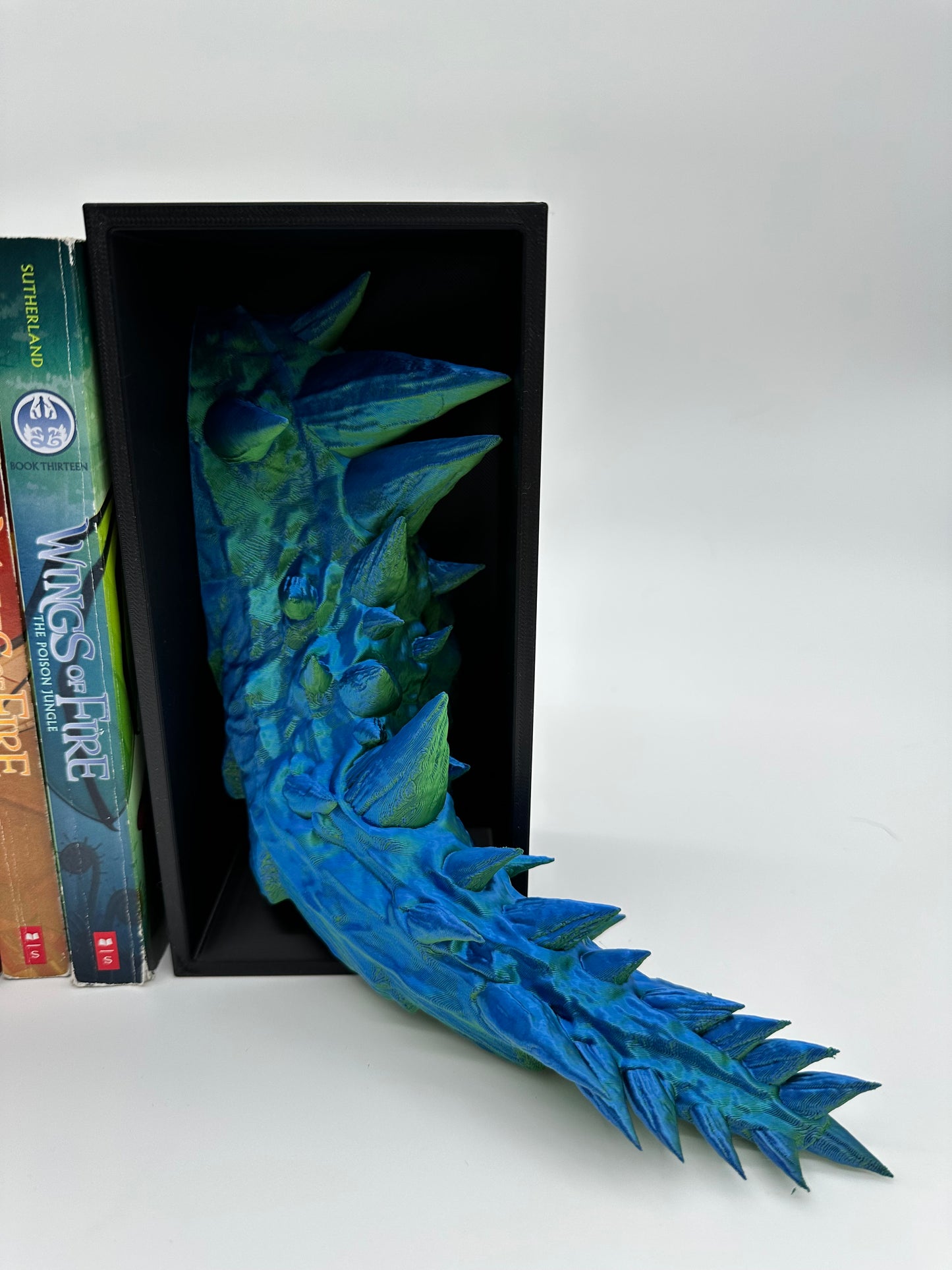 Dragon and Tail Book Nook