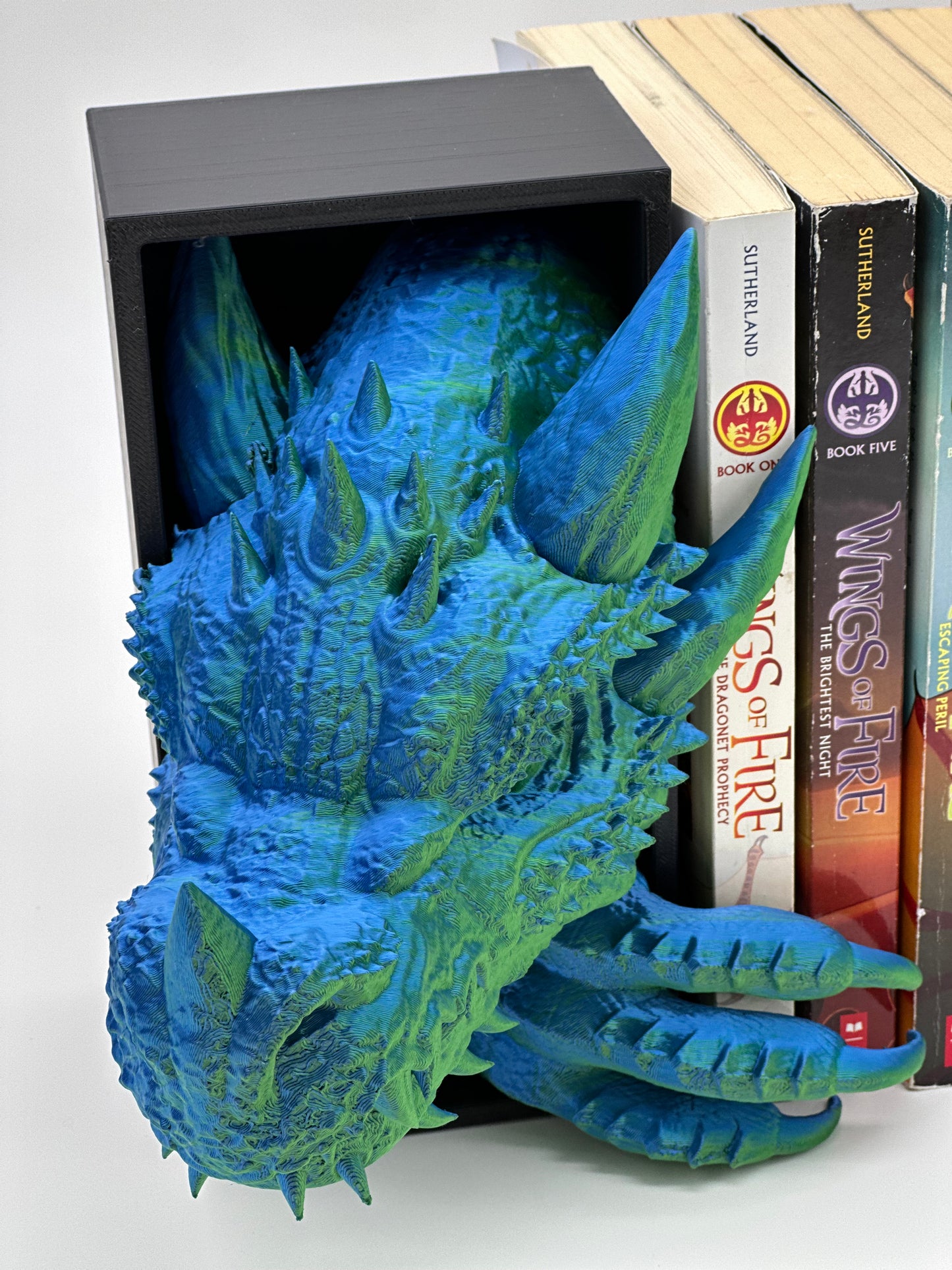 Dragon and Tail Book Nook